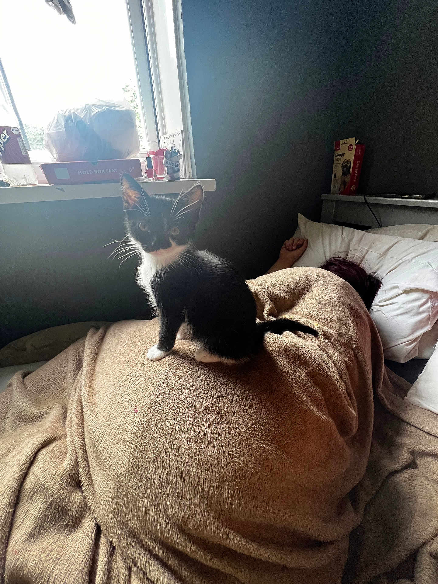 Milo