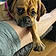 Lucy
