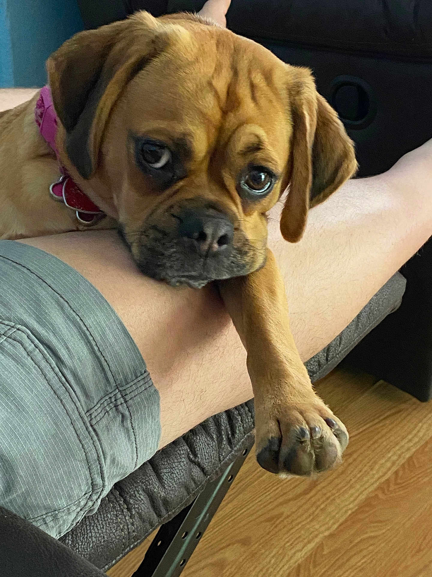 Lucy