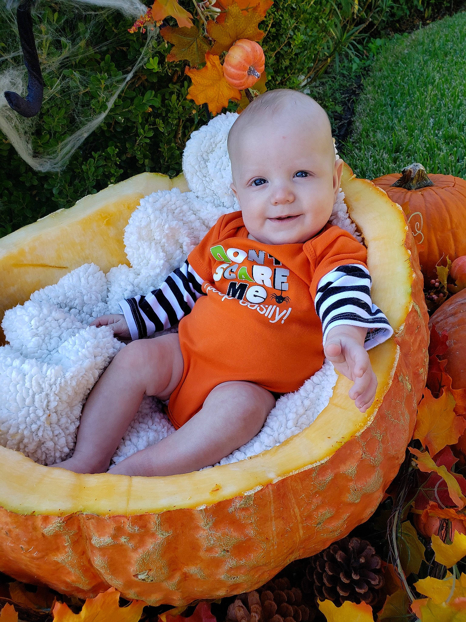 David is registered to the contest to win money with this photo: baby, baby_products, baby_toddler_clothing, child, leaf, person, product, pumpkin, toddler, winter_squash, yellow
