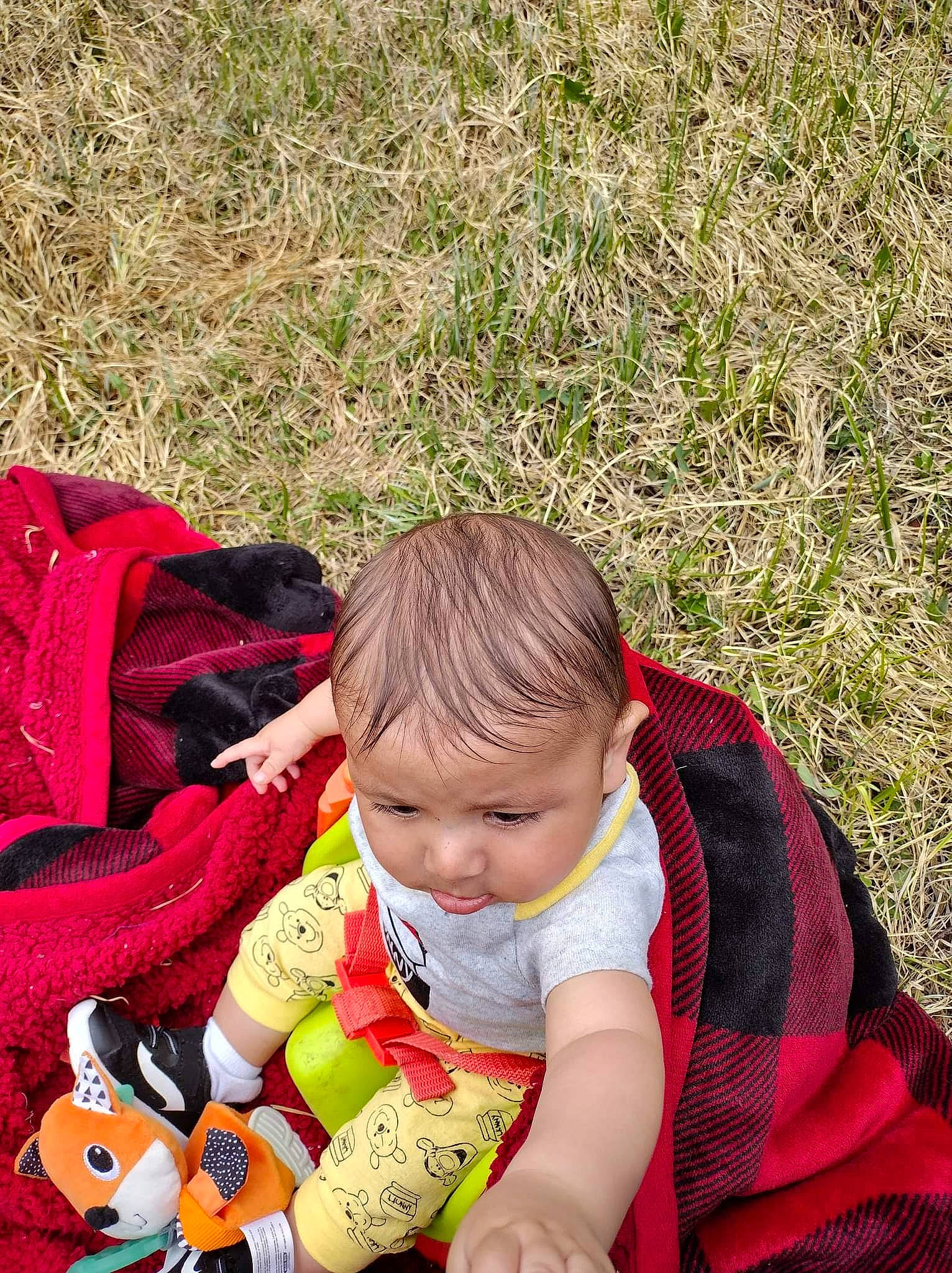 Brandon is registered to the contest to win money with this photo: baby, baby_products, baby_toddler_clothing, carmine, child, comfort, fun, grass, happy, head, lap, leisure, pattern, people_in_nature, person, sharing, sitting, stuffed_toy, teddy_bear, toddler