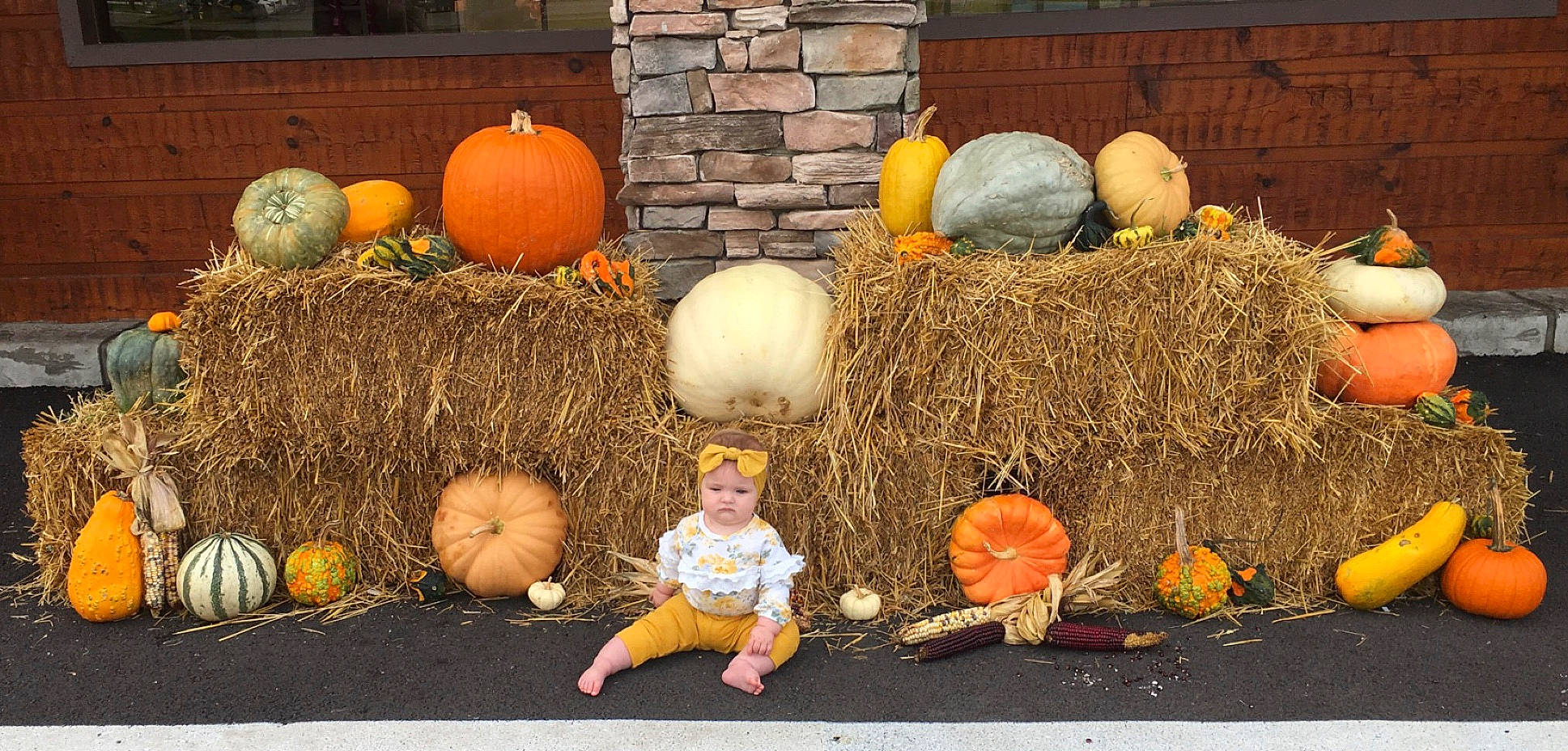 Bonnie is registered to the contest to win money with this photo: agriculture, calabaza, cucurbita, gourd, grass, grass_family, hat, hay, headwear, local_food, mammal, natural_foods, person, pumpkin, sorrow, squash, toddler, vegetable, vertebrate, whole_food