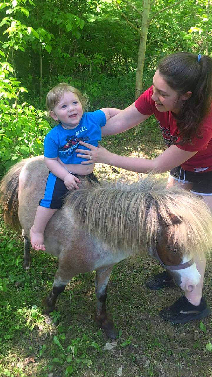 Johnathon is registered to the contest to win money with this photo: fun, grass, grassland, horse, landscape, liver, livestock, mane, mare, pack_animal, pasture, person, plant, pony, shetland_pony, shorts, smile, terrestrial_animal, toddler, tree