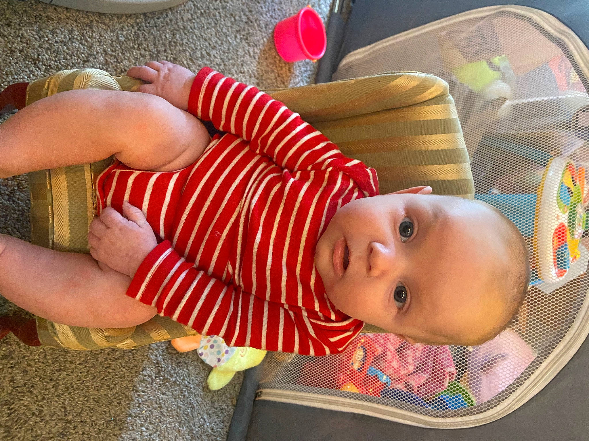 Levi joined the competition — help win amazing prizes! baby, baby_products, baby_safety, baby_toddler_clothing, child, comfort, couch, elbow, flooring, foot, fun, human_leg, leisure, linens, pattern, person, sitting, summer, surprise, thigh
