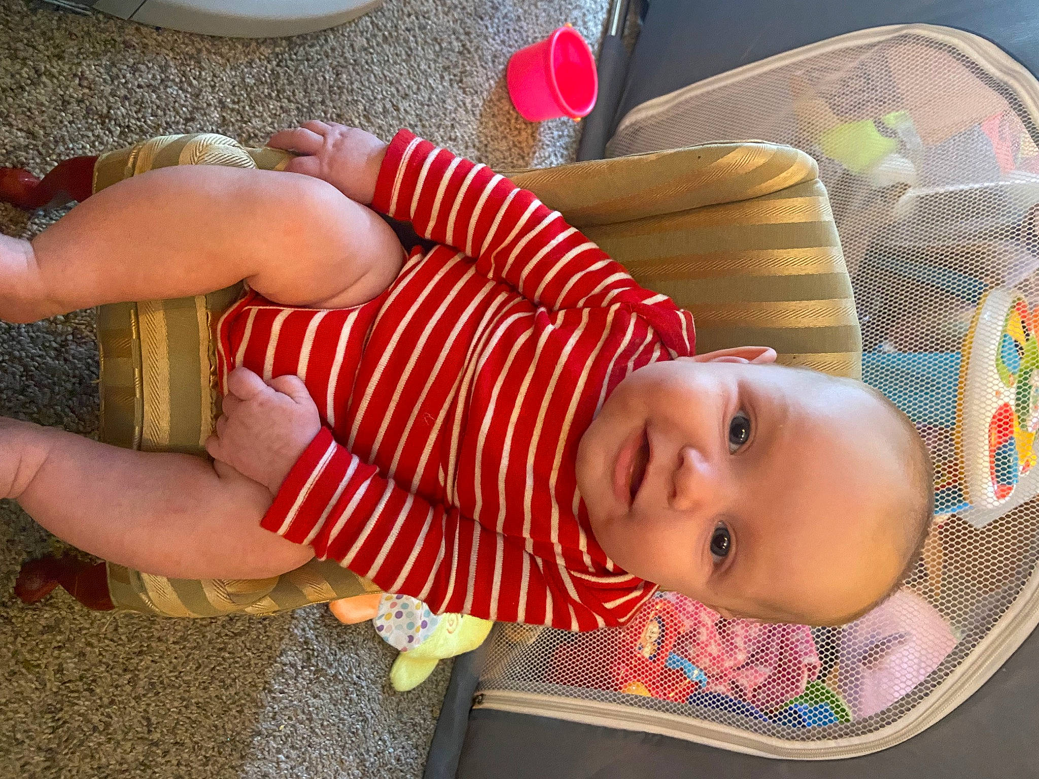 Levi is registered to the contest to win money with this photo: baby, baby_toddler_clothing, barefoot, calf, child, comfort, couch, flooring, foot, fun, grass, human_leg, knee, leisure, pattern, person, sitting, smile, thigh, toddler