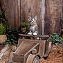Arthus a rejoint le concours — aidez-le/la à gagner de superbes lots ! kitten, cat, toy_car, wooden, pet, animal, cute, curious, vintage, rustic, indoor, plants, decor, brown, fur, small, playful, portrait, feline, background