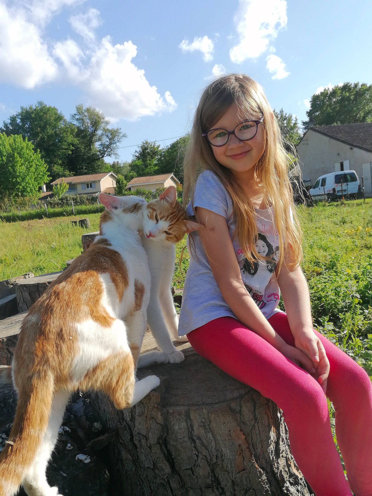 Lyna a rejoint le concours — aidez-le/la à gagner de superbes lots ! canidae, carnivore, companion_dog, dog, dog_breed, fawn, fun, grass, joy, leg, long_hair, person, sporting_group