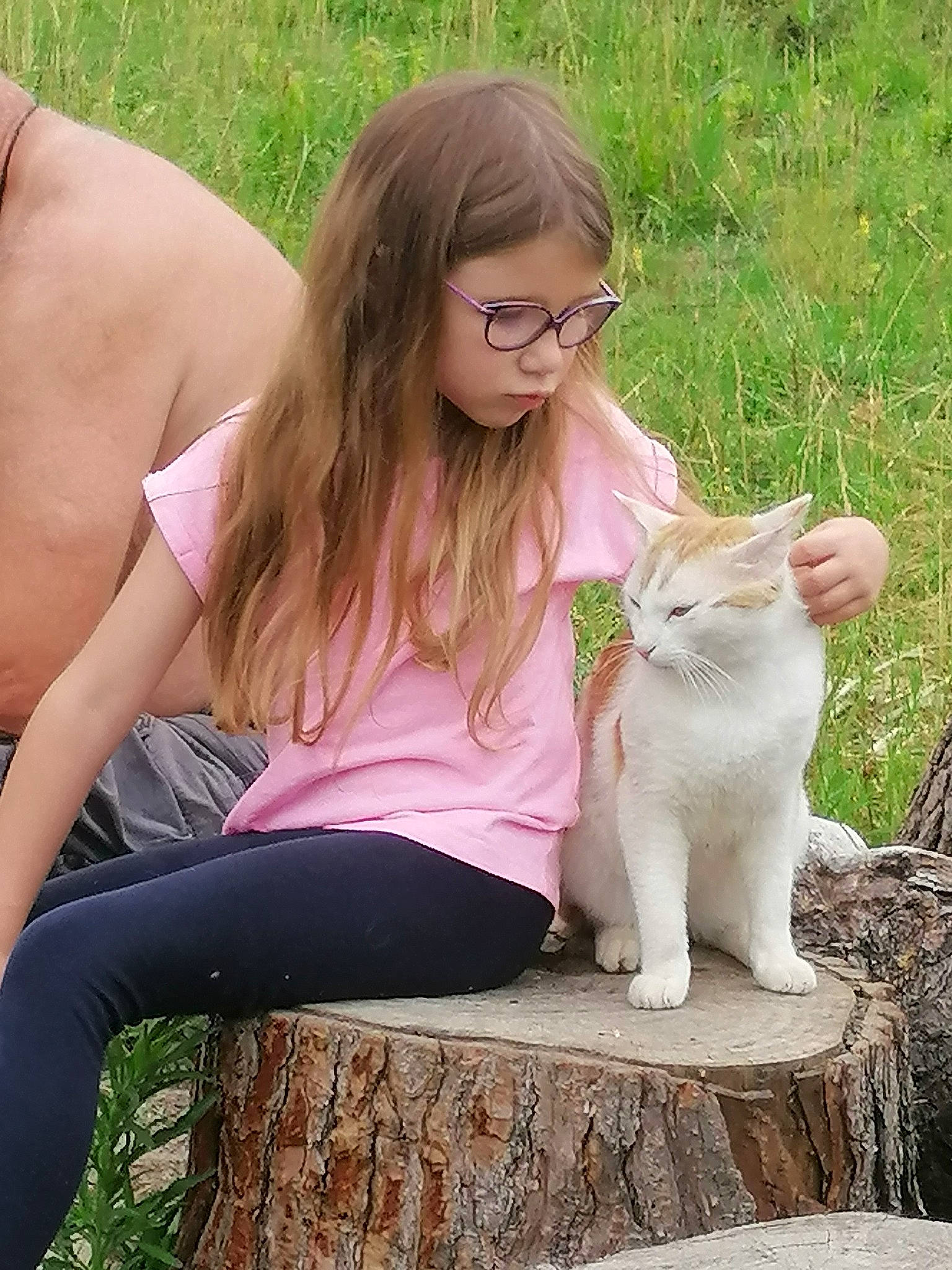 Lyna participe au concours pour gagner de l'argent avec cette photo : asian, beauty, blond, carnivore, cat, fawn, felidae, fur, grass, kitten, leg, long_hair, person, sitting, skin, small_to_medium_sized_cats, thigh, turkish_van