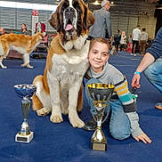 Violetta participe au concours pour gagner de l'argent avec cette photo : animal, award, background, boy, carpet, casual_clothing, celebration, competition, dog, event, indoor, kneeling, large_dog, leash, people, pet, saint_bernard, show, smiling, trophy