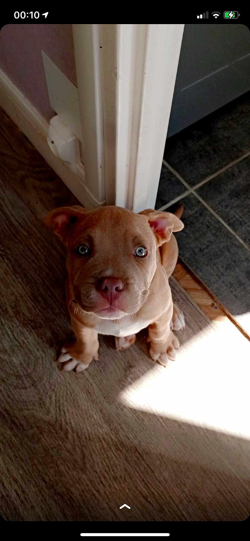 Simba
