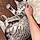 Binxy