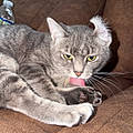 Chloe N.