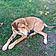 Riley