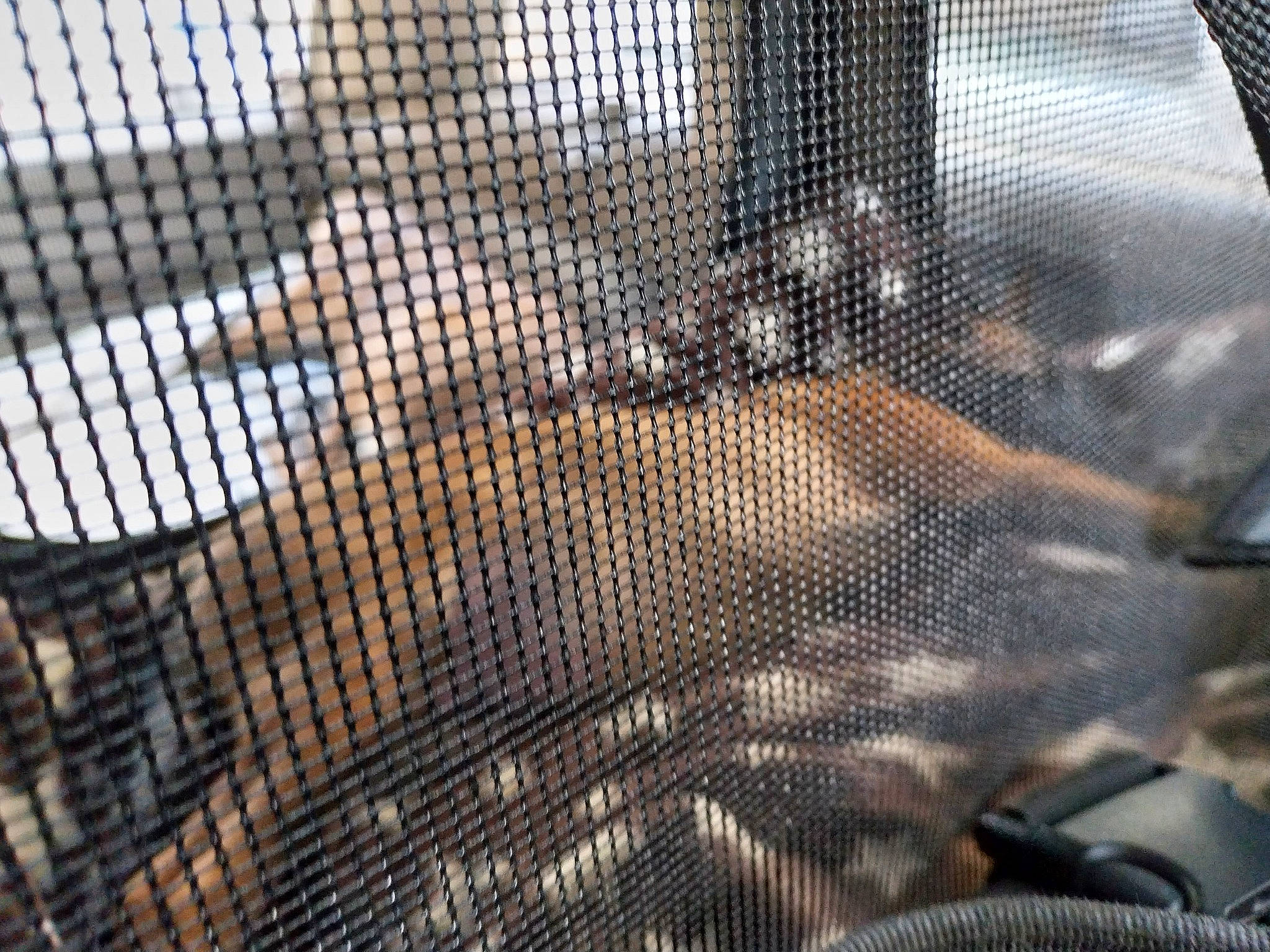 Uzzy participe au concours pour gagner de l'argent avec cette photo : animal_shelter, cage, carbon, chain_link_fencing, fence, fish, fish_products, food, fur, glass, grille, mesh, metal, net, oily_fish, pattern, steel, transparent_material, wire_fencing, wood