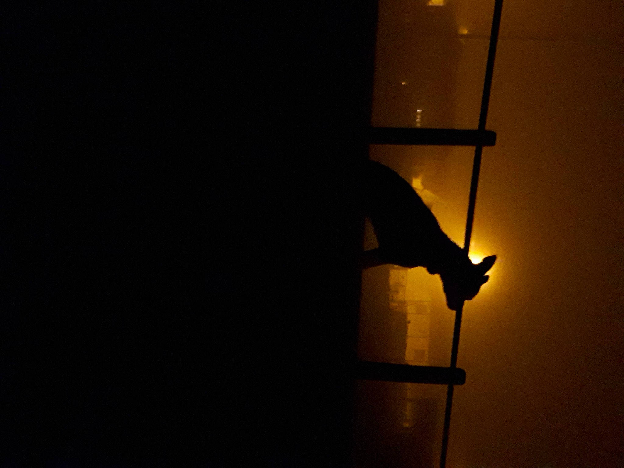 Demön a rejoint le concours — aidez-le/la à gagner de superbes lots ! art, backlighting, balance, darkness, elbow, electricity, entertainment, event, heat, human_leg, light_fixture, microphone_stand, midnight, performing_arts, shadow, still_life_photography, street_light, tints_and_shades, wire, wood