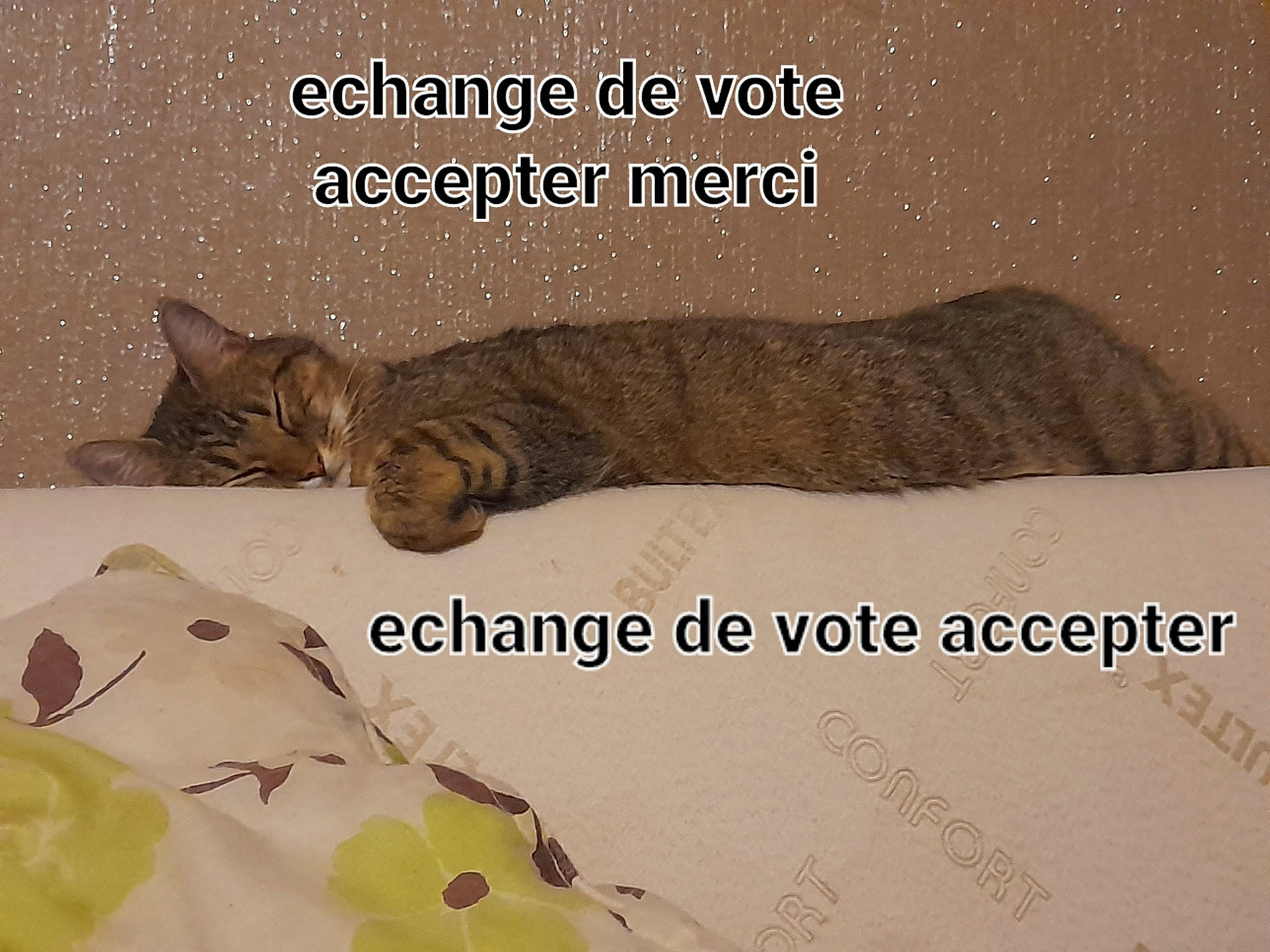 Mimi participe au concours pour gagner de l'argent avec cette photo : art, carnivore, cat, creative_arts, domestic_short_haired_cat, felidae, font, fur, illustration, linens, pattern, paw, photo_caption, plant, small_to_medium_sized_cats, tail, terrestrial_animal, tree, whiskers, wildlife