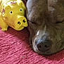 Gia is registered to the contest to win money with this photo: dog, sleeping, toy, yellow, pig, red_surface, closeup, pet, indoors, resting, snuggling, cute, animal, fur, nose, peaceful, relaxing, companion, friendship, cozy