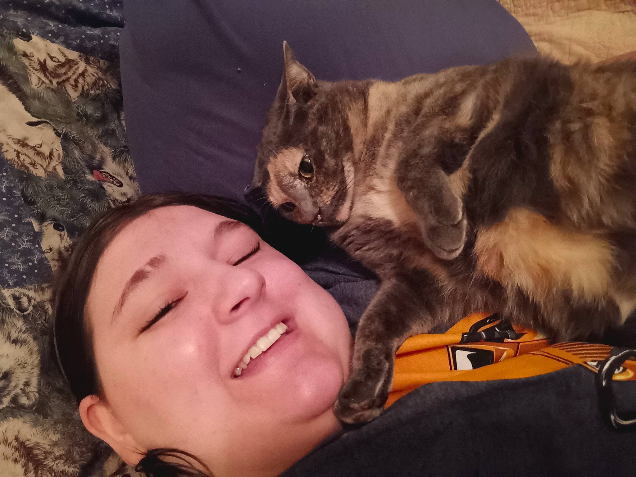 Pumpkin joined the competition — help win amazing prizes! bag, carnivore, cat, claw, comfort, domestic_short_haired_cat, eye, felidae, fun, fur, gesture, happy, luggage_and_bags, mammal, paw, plant, small_to_medium_sized_cats, smile, tree, whiskers