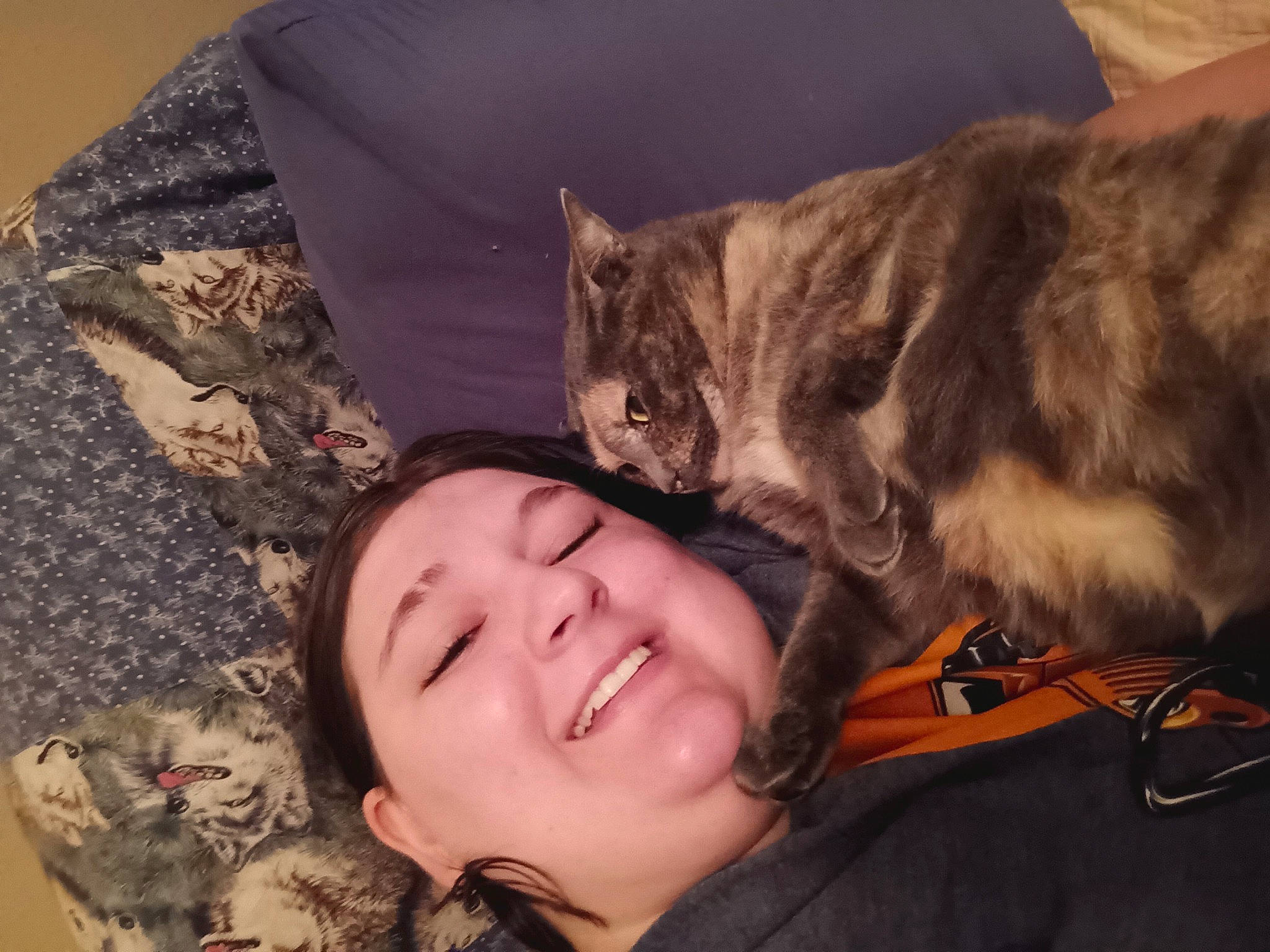 Pumpkin is registered to the contest to win money with this photo: bag, bed, carnivore, cat, comfort, domestic_short_haired_cat, ear, fawn, felidae, fur, gesture, happy, lap, mammal, small_to_medium_sized_cats, smile, textile, tree, vertebrate, whiskers