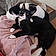Artemis And Mamas