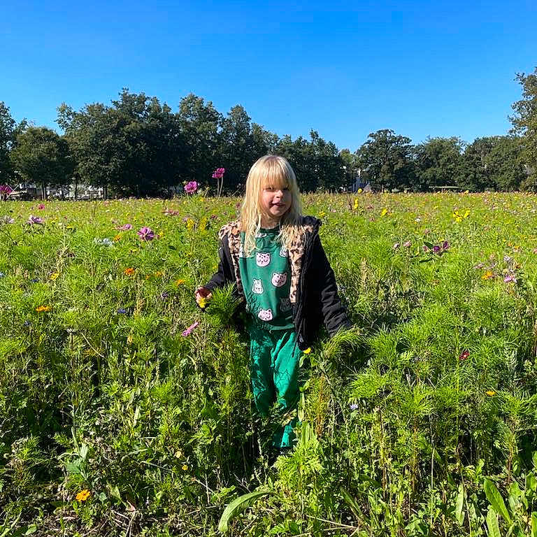 Mallyssia a rejoint le concours — aidez-le/la à gagner de superbes lots ! animal_print, blonde_hair, blue_sky, child, daylight, field, flower, grass, green_pants, greenery, happy, jacket, leopard_print, nature, outdoor, person, plants, smiling, sunny, wildflowers