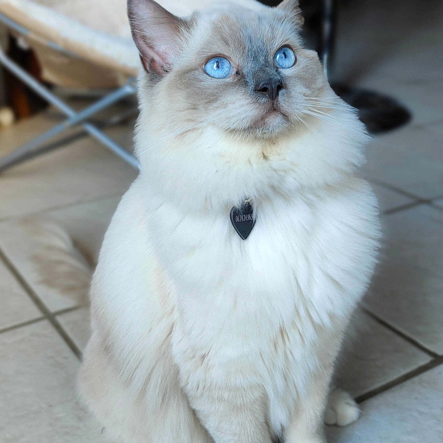 Sissi