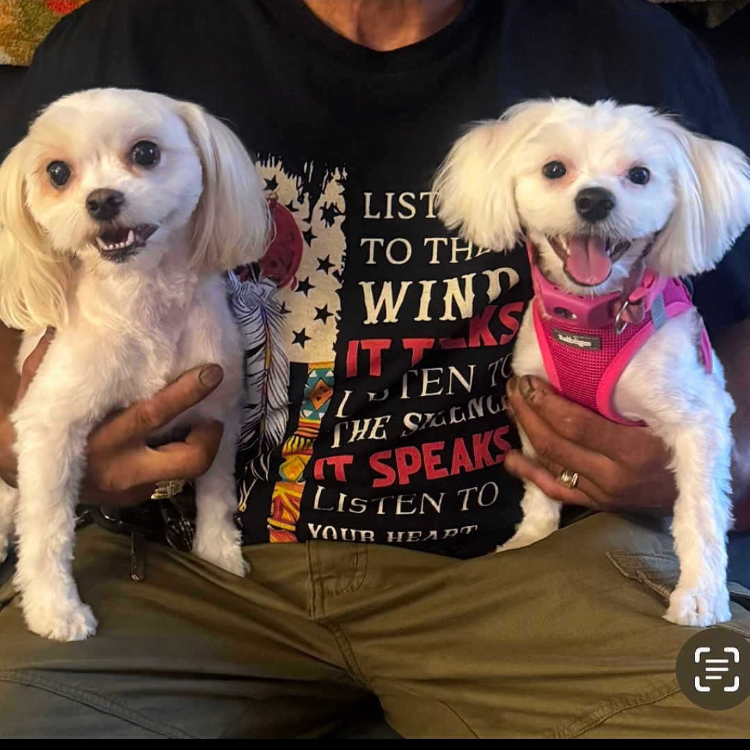 Gigi And Giny
