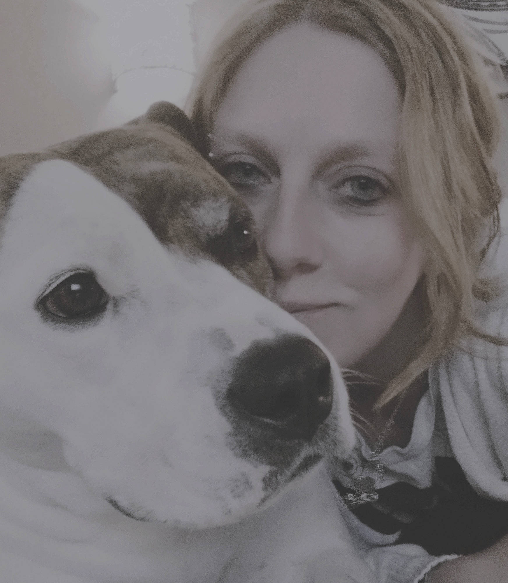 Jewel a rejoint le concours — aidez-le/la à gagner de superbes lots ! carnivore, companion_dog, dog, dog_breed, ear, eye, eyebrow, eyelash, fur, happy, jaw, monochrome, monochrome_photography, nose, selfie, snout, sporting_group, style, whiskers, working_animal