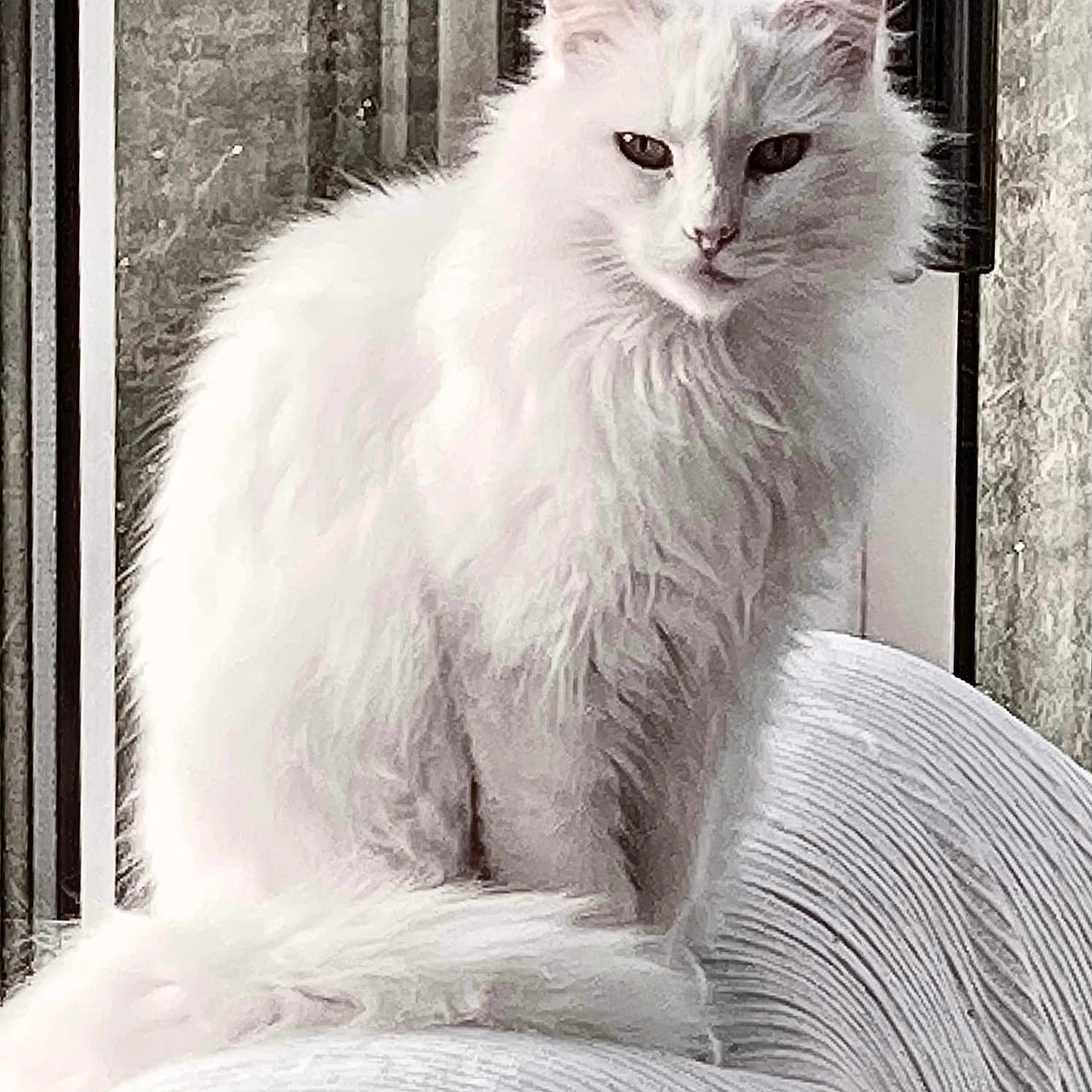 Monsieur Leblanc