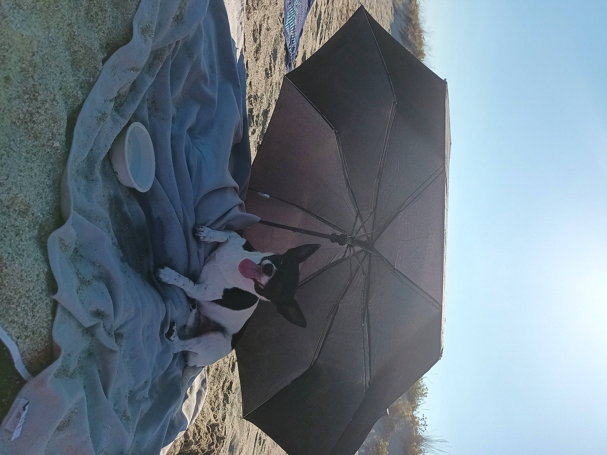 Lynda participe au concours pour gagner de l'argent avec cette photo : art, automotive_wheel_system, building, electric_blue, fashion_accessory, fictional_character, grey, rock, shadow, sky, tints_and_shades, tree, umbrella, wind, wing