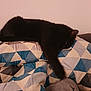 Tequila participe au concours pour gagner de l'argent avec cette photo : black_cat, sleeping_cat, cat, feline, pet, indoor, blanket, patterned_blanket, geometric_pattern, resting, cozy, relaxed, animal, fur, paw, soft, home, couch, comfort, napping