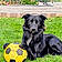 Arlo