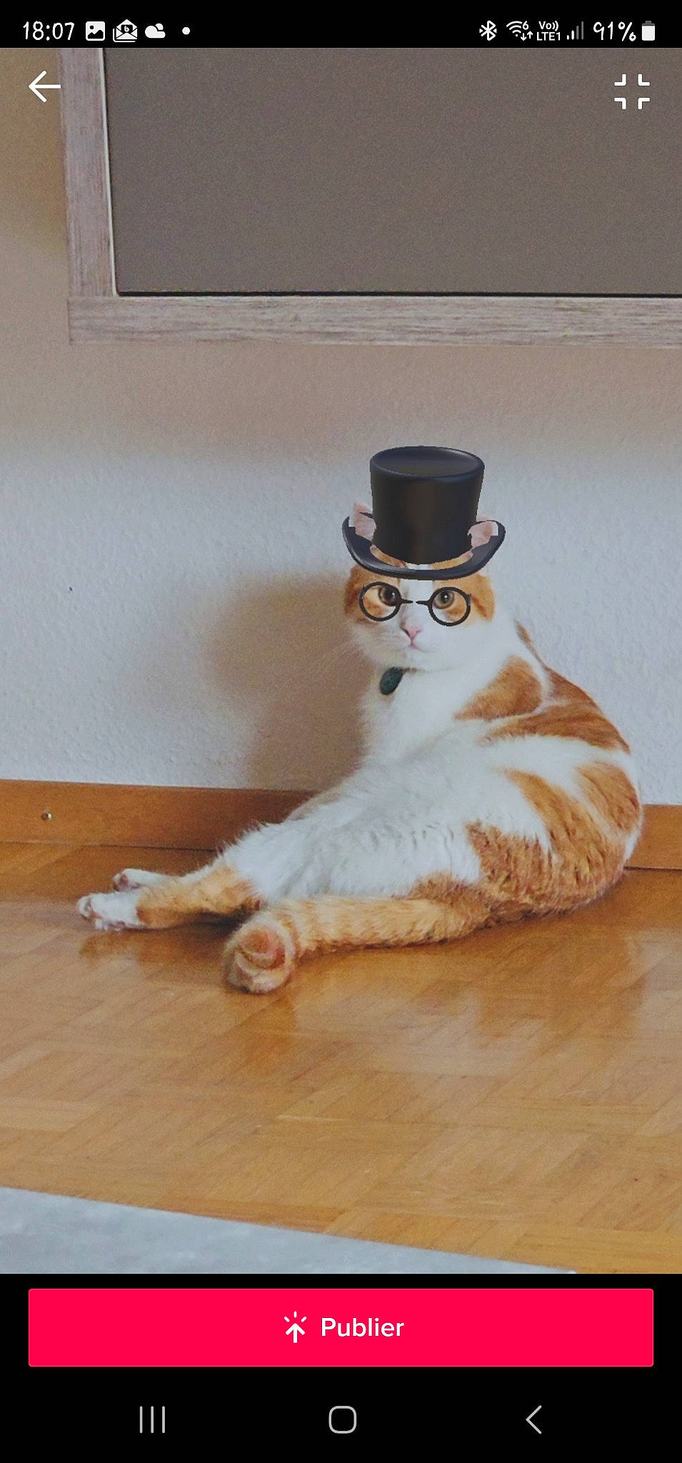 Lloyd participe au concours pour gagner de l'argent avec cette photo : art, beard, costume_hat, figurine, flooring, fur, hardwood, hat, laminate_flooring, moustache, plywood, room, sitting, sleeve, tail, toy, varnish, wood, wood_flooring, wood_stain