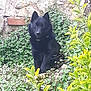 Eden participe au concours pour gagner de l'argent avec cette photo :