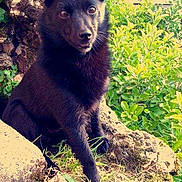 Eden participe au concours pour gagner de l'argent avec cette photo :