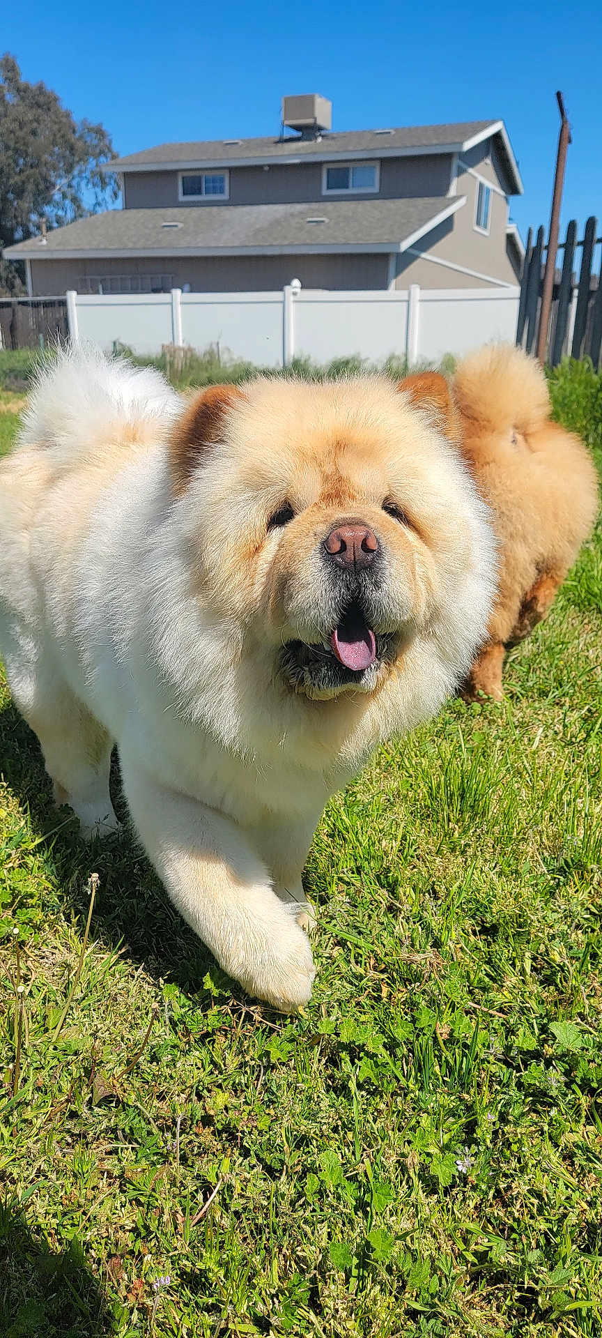 Nella
