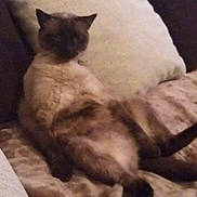 Java a rejoint le concours — aidez-le/la à gagner de superbes lots !