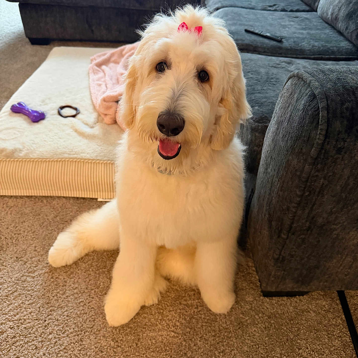 Minnie