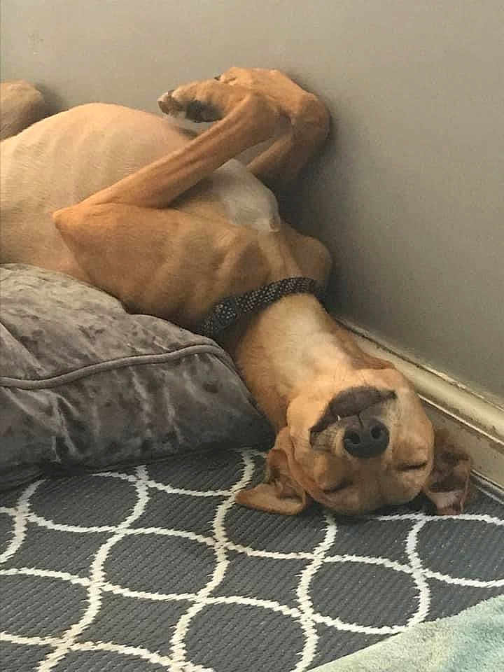 Marley