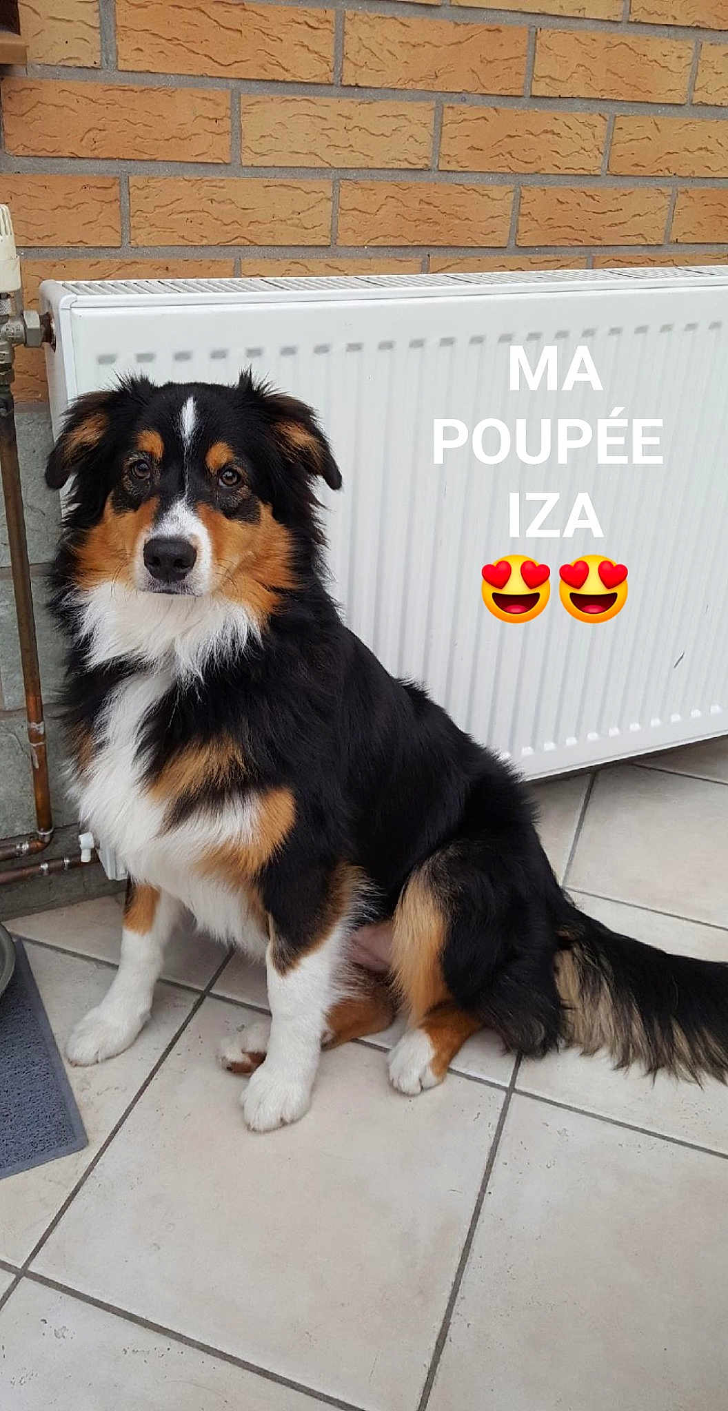 Iza