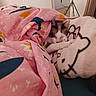 Maya participe au concours pour gagner de l'argent avec cette photo : cat, sleeping, blanket, pink, floral, plush, pillow, cute, cozy, indoor, resting, animal, fur, bedroom, soft, comfort, relaxation, home, decor, peaceful