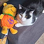 cat, stuffed_toy, couch, living_room, black_and_white, plush, halloween, pumpkin_outfit, animal, pet, feline, cozy, relaxing, indoor, fabric, floor, seat, soft_toy, resting, home