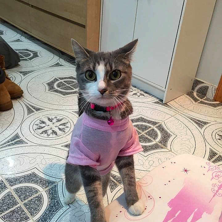 Minnie