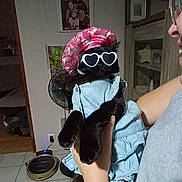Jolia participe au concours pour gagner de l'argent avec cette photo : cat, black_cat, pet, costume, dress, hat, sunglasses, heart_shaped, indoor, person, holding, smiling, home, floor_tiles, fan, furniture, picture_frame, decor, cute, funny