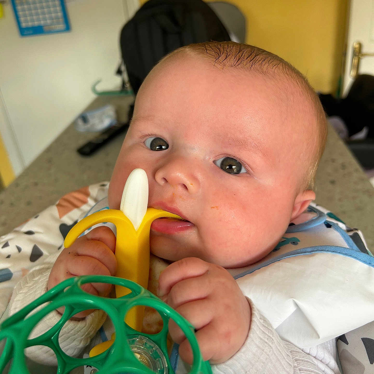 Tadgh joined the competition — help win amazing prizes! architecture, baby, banana, bodypart, building, couch, face, finger, food, fruit, furniture, hand, head, hospital, person, photography, plant, portrait, produce, scissors