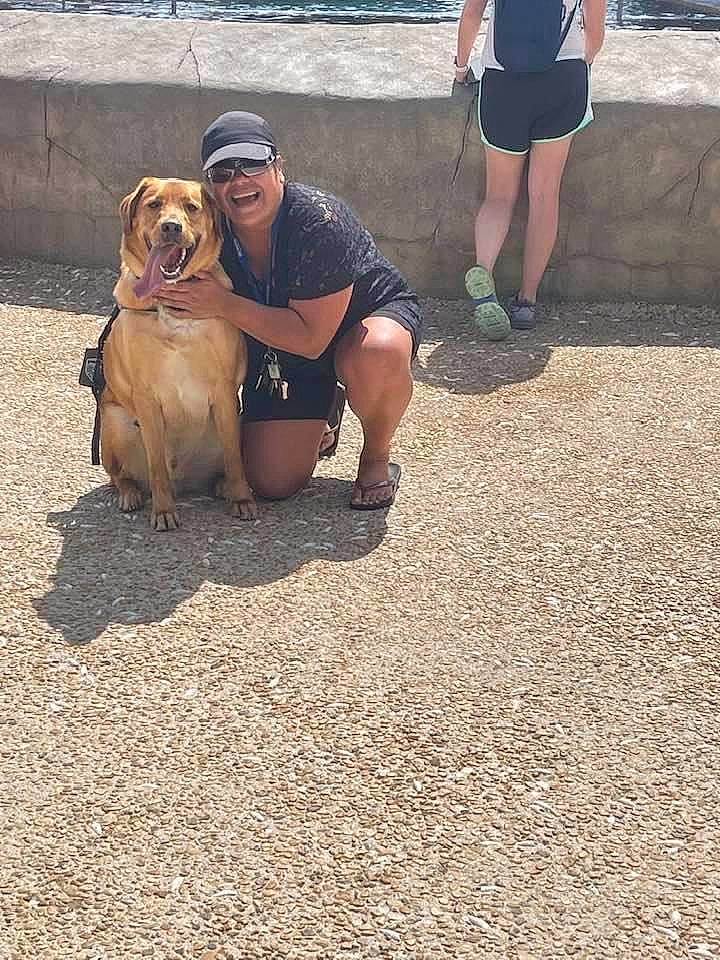 Roco is registered to the contest to win money with this photo: carnivore, companion_dog, dog, dog_breed, eyewear, fawn, foot, fun, hat, human_leg, leash, leisure, luggage_and_bags, shorts, sidewalk, sitting, smile, sporting_group, sunglasses, thigh