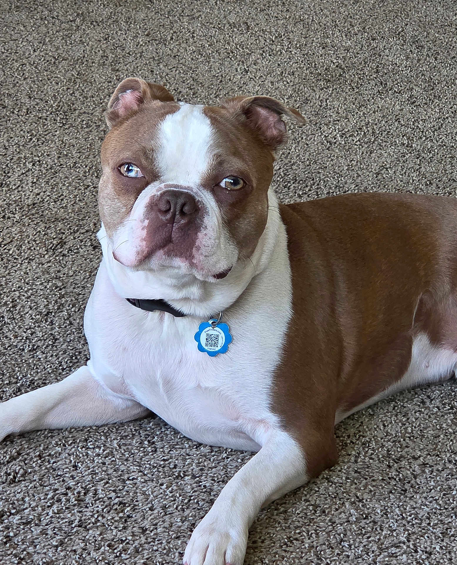 Capone