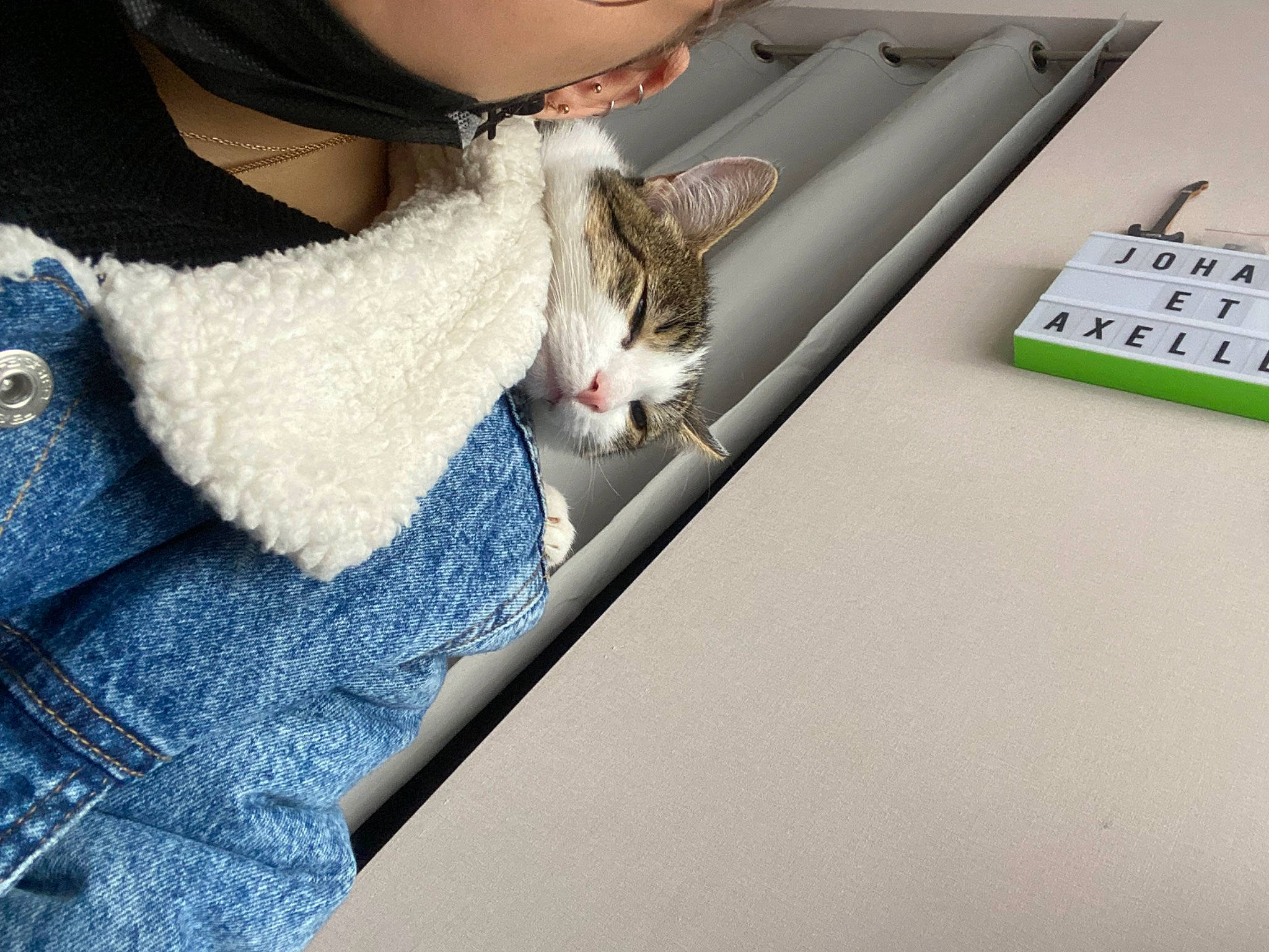 Pipi a rejoint le concours — aidez-le/la à gagner de superbes lots ! carnivore, cat, comfort, denim, domestic_short_haired_cat, fashion_accessory, felidae, fur, fur_clothing, gesture, leg, linens, paw, selfie, sitting, small_to_medium_sized_cats, t_shirt, tail, whiskers, wool