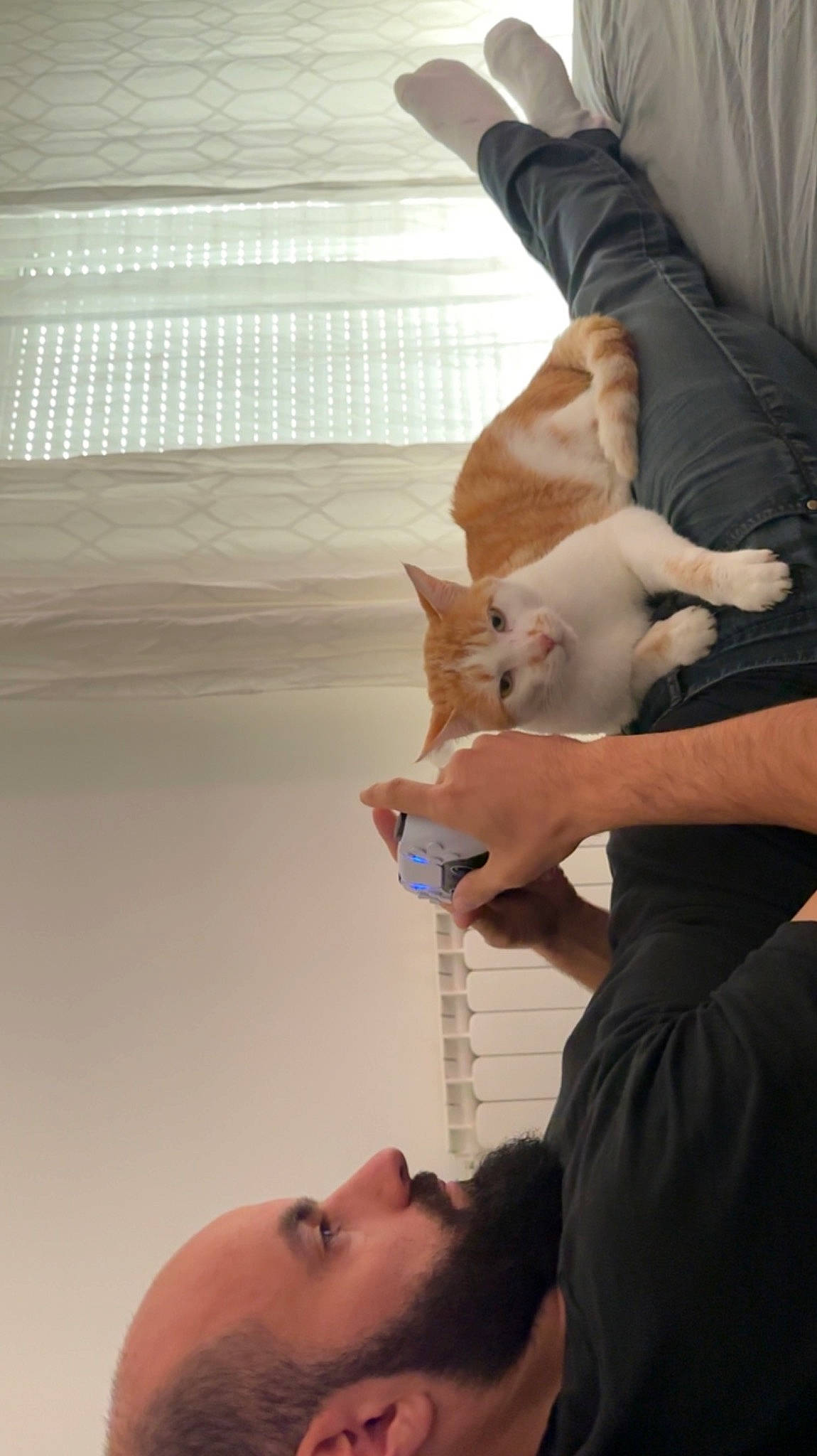 Pika a rejoint le concours — aidez-le/la à gagner de superbes lots ! carnivore, cat, comfort, companion_dog, ear, elbow, eyelash, fawn, felidae, finger, fun, gesture, human_leg, joint, mouth, nail, neck, shoulder, wood, wrist