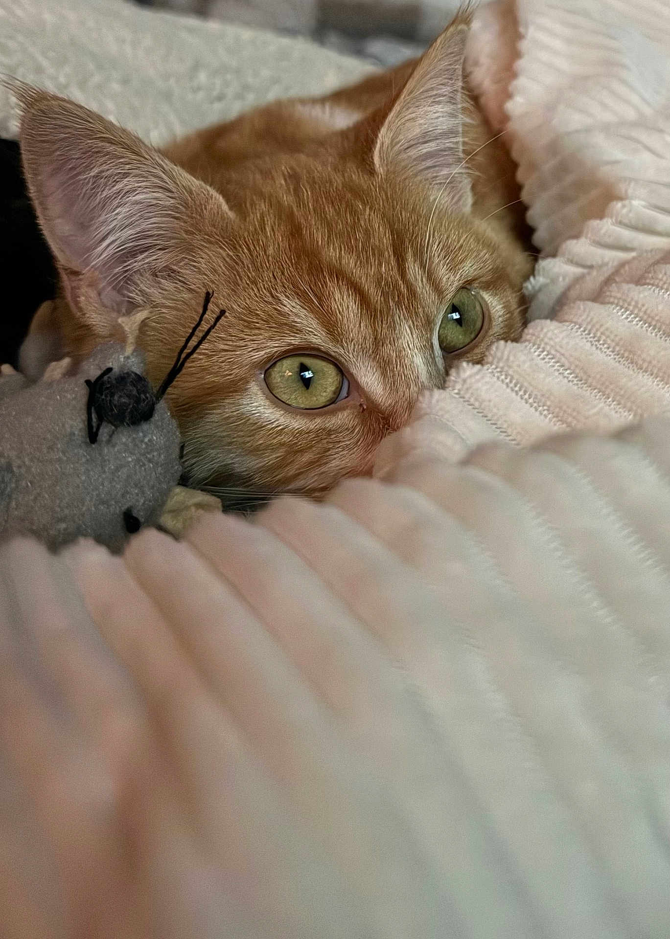 Milo
